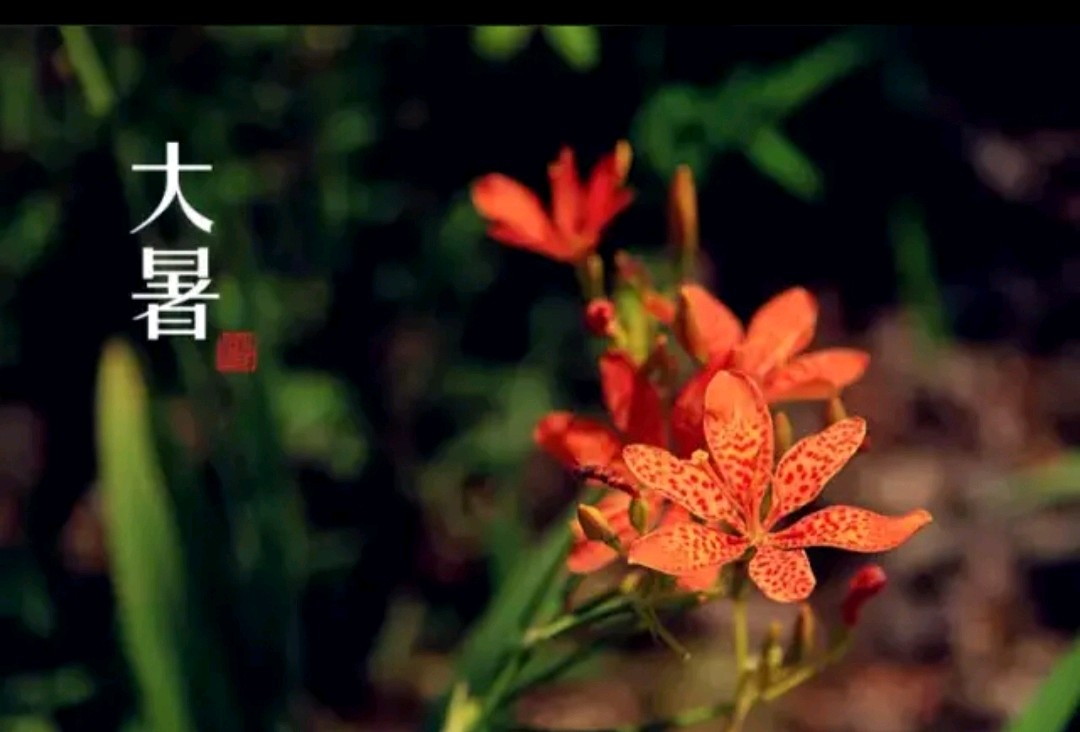 微信图片_20250721150605.jpg